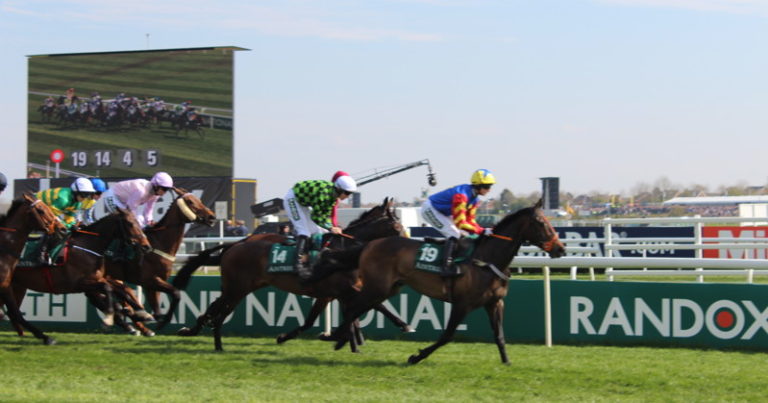 Grand National Weights Revealed I Am Maximus Tops the Weights