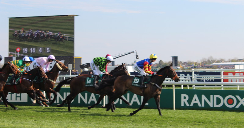 Grand National Weights Revealed I Am Maximus Tops the Weights
