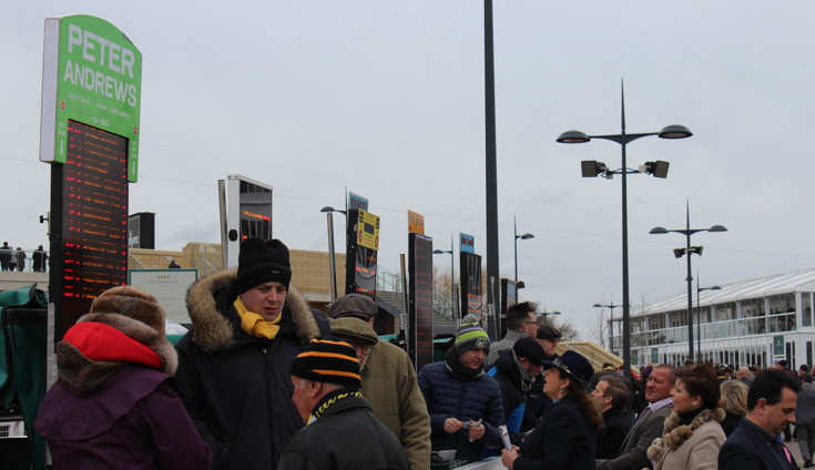 place your bets please bookies on track at cheltenham