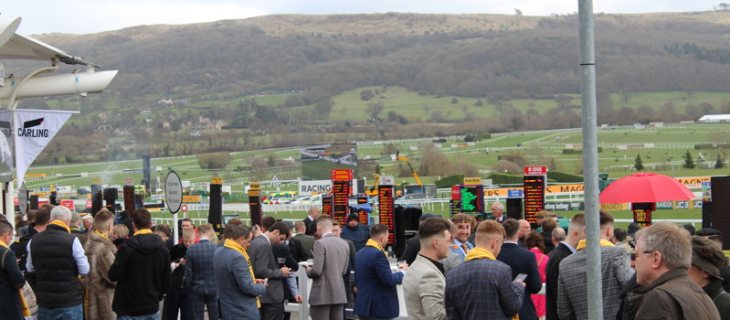 bookies at cheltenham before start of racing