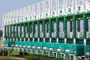 empty racing stalls