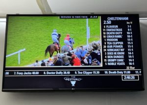 ultima handicap chase race board