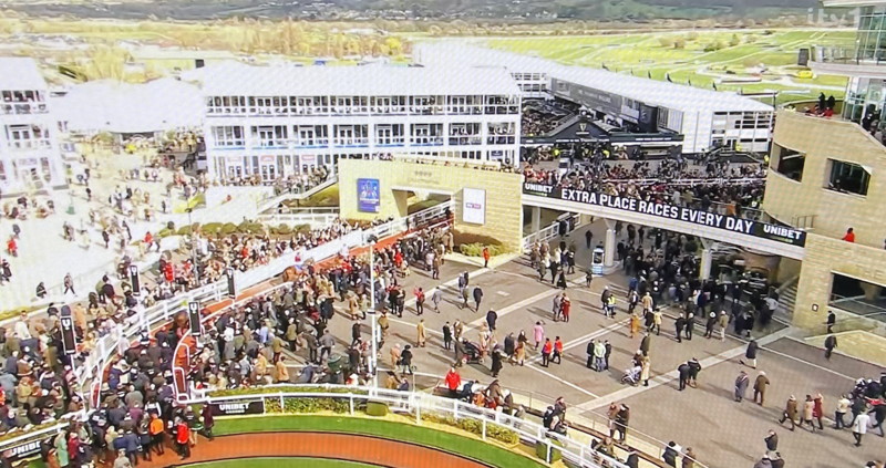 Favourites Fail to Fire in Cheltenham Championship Races