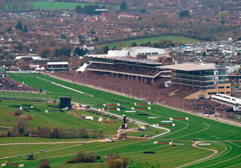 Cheltenham Gold Cup Field Set to be Smallest for Many Years