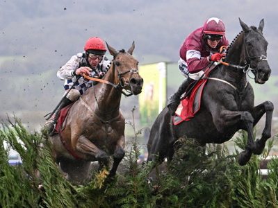 two horses jump cross country fence close up