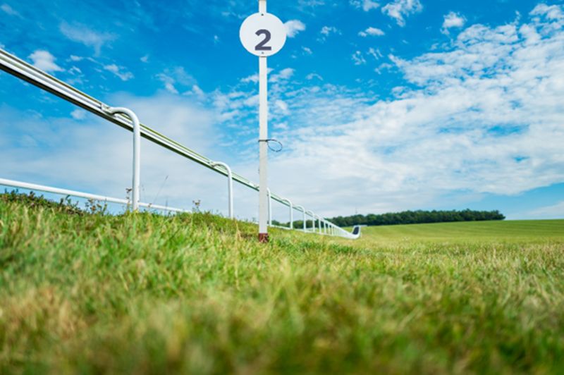 The early favourites for the St Leger