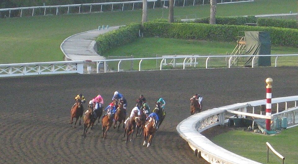 breeders cup classic