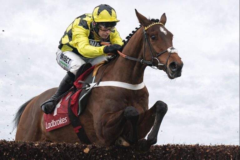 Racing Star Sir Gino Loses Battle with Infections