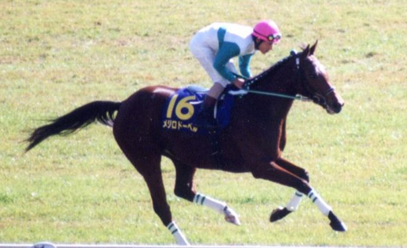 Mejiro Dober Horse