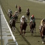 The Historic Legacy of Nijinsky: The Dancing King of Ballydoyle