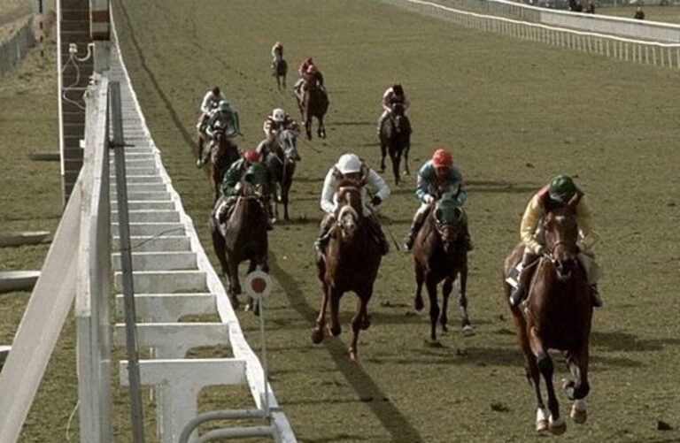 The Historic Legacy of Nijinsky: The Dancing King of Ballydoyle