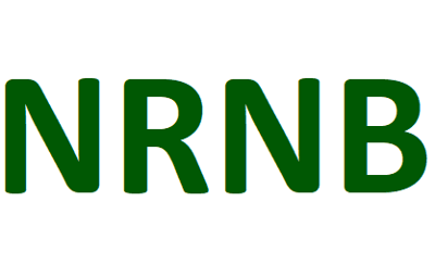 Non Runner No Bet Logo
