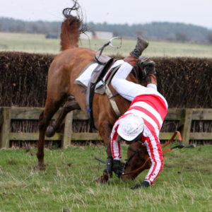 horse falling
