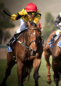 jockey about to use the whip