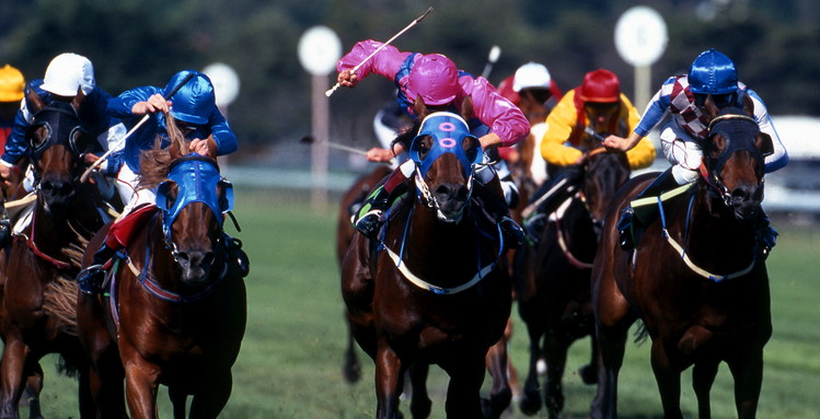 jockey using the whip