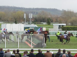 horses-jumping-cheltenham-final-fence