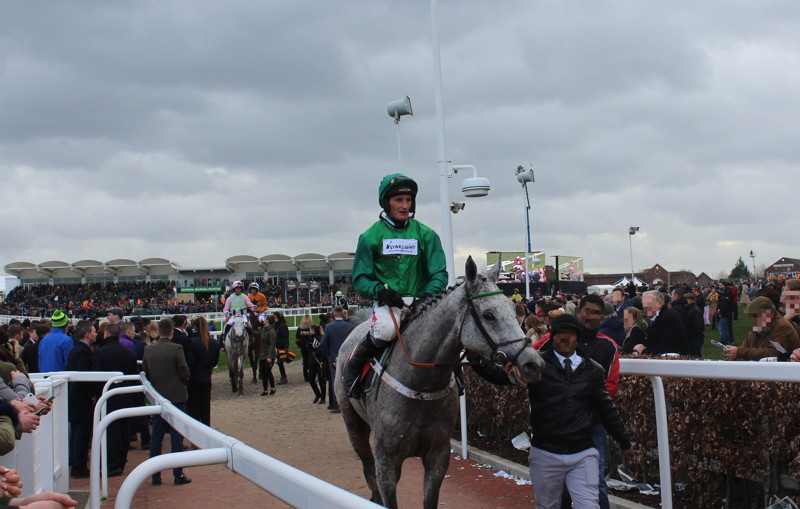 horses-walking-back-up-after-race