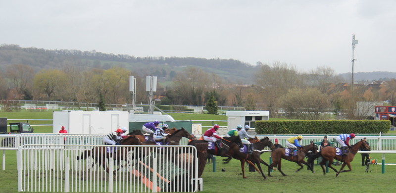 last-of-pack-jump-cheltenham-fence