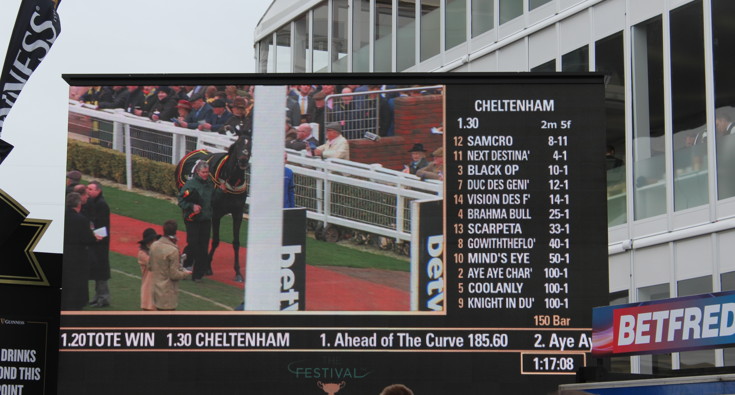 race information board at cheltenham racecourse