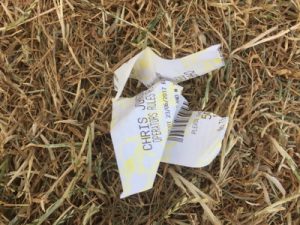 ripped up bet slip on the ground