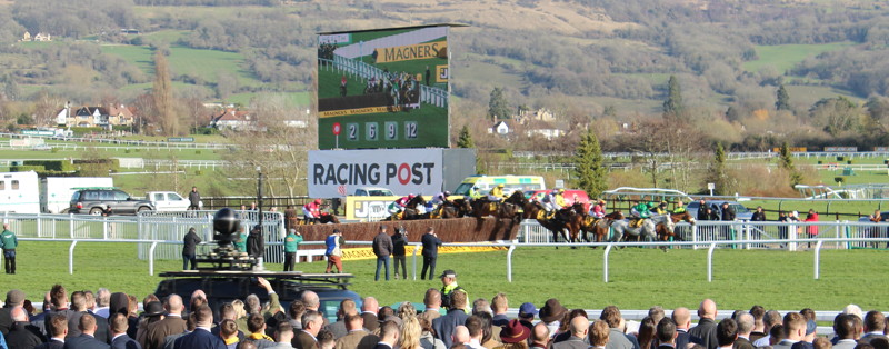 horses jump a fence during a cheltenham race