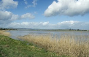 severn bore