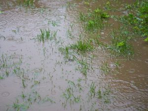 waterlogged ground flooding