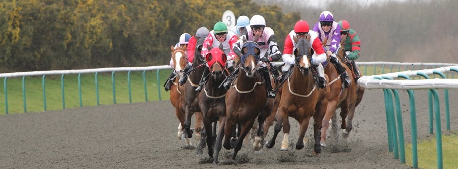 all weather horse race track
