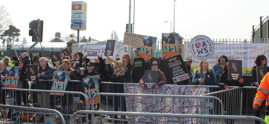 animal rights protesters at aintree before grand national 2019