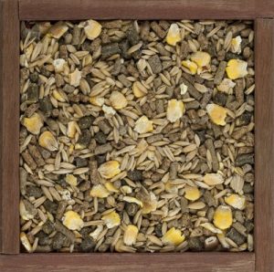 horse feed corn barley oats grain and supplement granulates