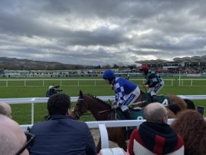 jockeys and horses making way up gallops festival trails day 4