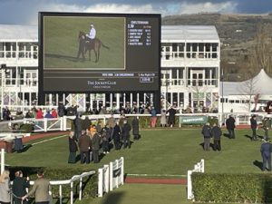 trial cotswold chase festival trails day race board and parade ring