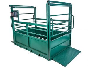weighing scale for livestock and horses