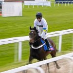 Should Racecourse Gallops be Banned?