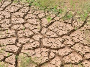 hard cracked firm ground