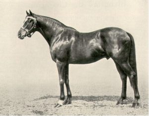 blandford