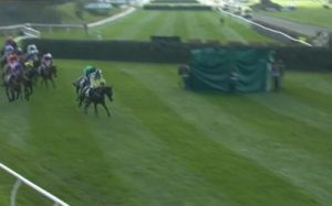injured horse behind curtain screen other runners missing the fence and going around