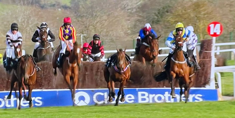 horses and loose horses jumping fence in foxhunter challenge cup