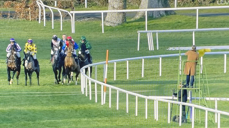 horses line up starting post supreme novices hurdle
