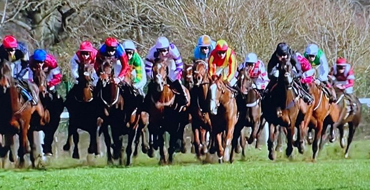 large field handicap at cheltenham
