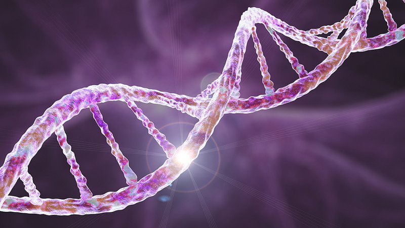 dna concept