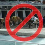 Greyhound Racing Ban in Wales a Warning Shot to Horse Racing