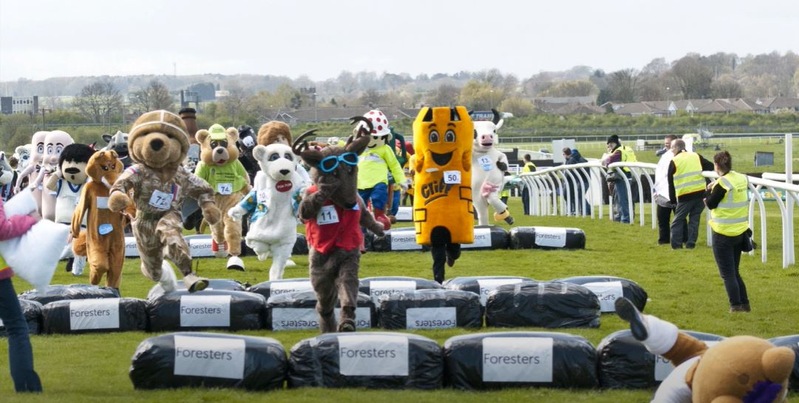 Mascot Gold Cup Runners