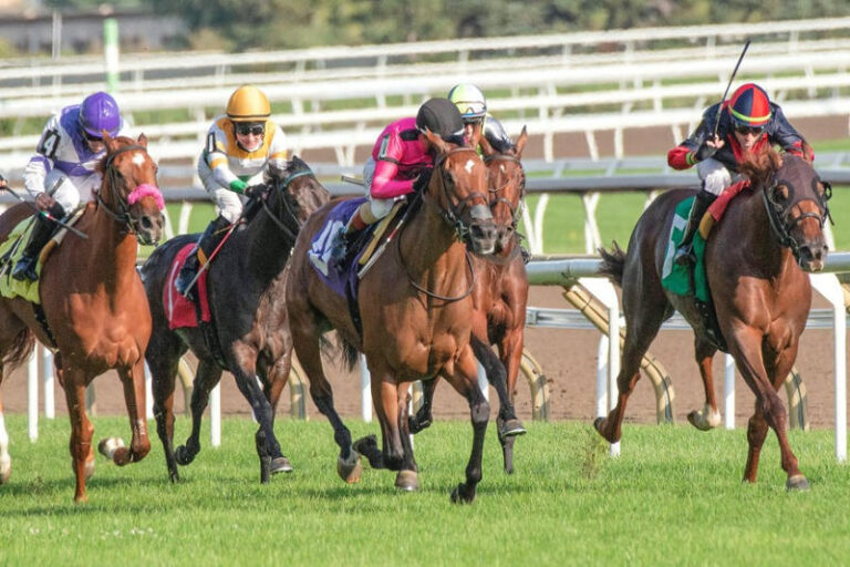 Why Horse Racing Remains a Cultural Icon in the Digital Age