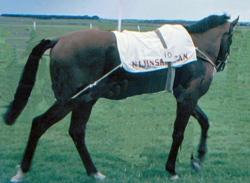 Nijinsky
